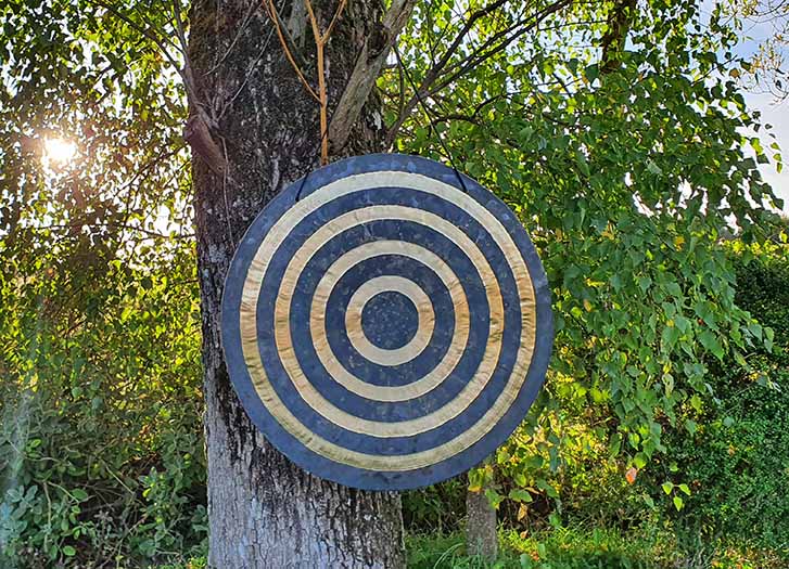 Sound therapy gong hanging in tree near Bruton